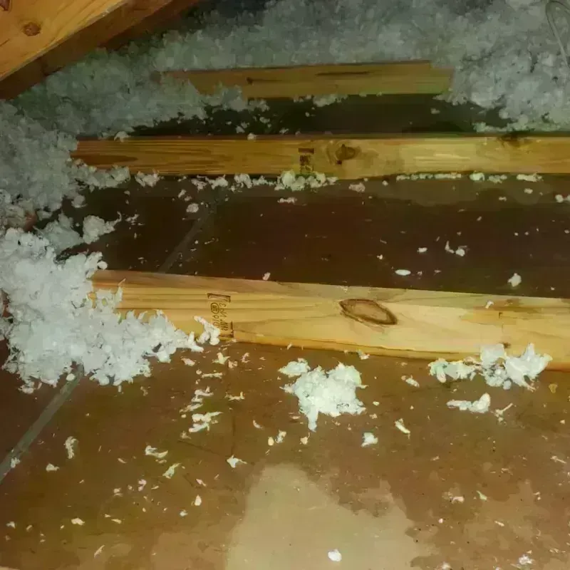 Attic Water Damage in Grant County, IN