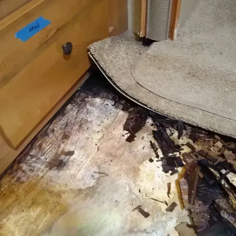 Best Wood Floor Water Damage Service in Grant County, IN